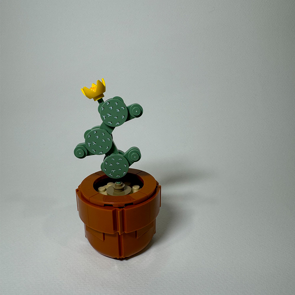 This photo is part of a lego set of small plants that inspired my theme of play and how it has changed.