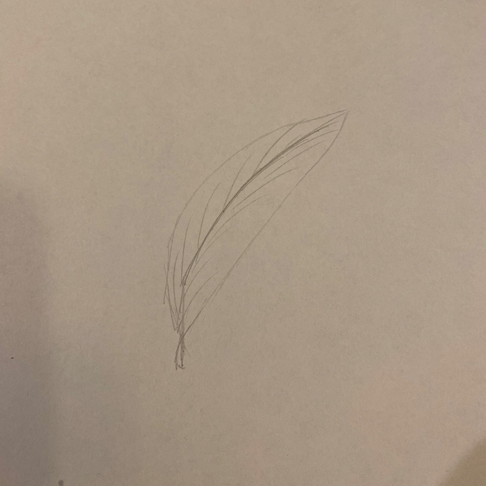 Leaf drawn by my cousin on my dad's that was later digitized in Adobe Illustrator.