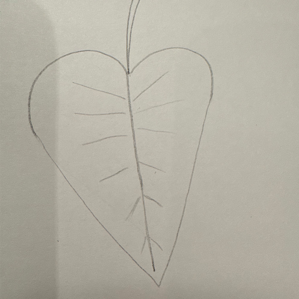 Leaf drawn by my mother that was later digitized in Adobe Illustrator.