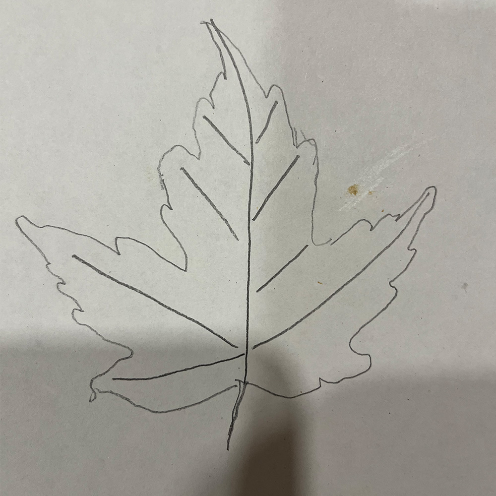 Leaf drawn by my grandfather on my mom's that was later digitized in Adobe Illustrator.