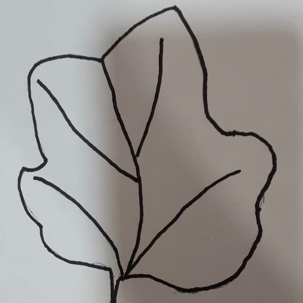 Leaf drawn by my grandmother on my dad's that was later digitized in Adobe Illustrator.